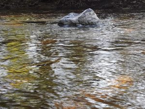 Seat-shaped rock in a shallow stream.