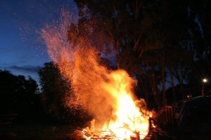 Bonfire throwing fine sparks across a horizon in deep dusk. This is what it feels like in my head when my brain is burning freshly from a new overwhelming event.