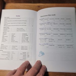 The booklet open to the 7th and 8th page. The 8th page has a weekly accounting of the hygeine, housework, and self-care of the week, with pretty fonts and a touch of color.